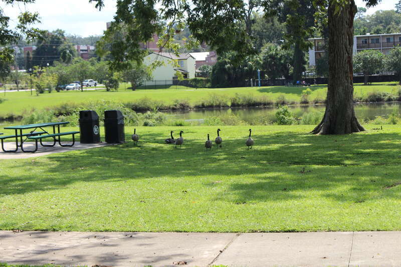 Carter-Howell-Strong park, Tallahassee, Leon County, Florida