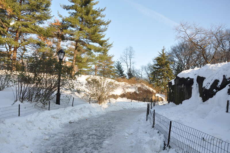 Central Park is a public park in the center of Manhattan in New York City, United States. The park initially opened in 1857, on 843 acres (3.41 km2) of city-owned land. In 1858, Frederick Law Olmsted and Calvert Vaux won a design competition to