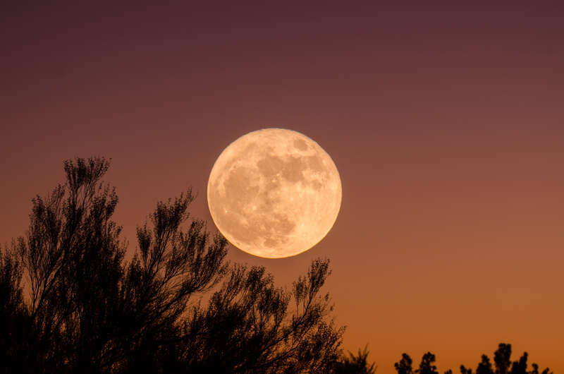 Chandler, United States
