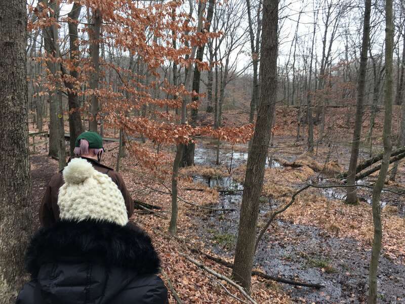 Park environmental educator showing the role of the role that clay pits formed during a peak period for brick production, during a First Day Hike on New Year's Day 2021 at Clay Pit Ponds State Park Preserve, Staten Island, New York.