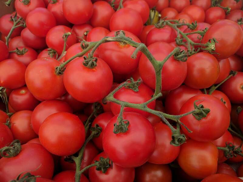 A box of tomatoes labeled as "Cocktail Tomatoes" at a farmer's market in Campbell, California.