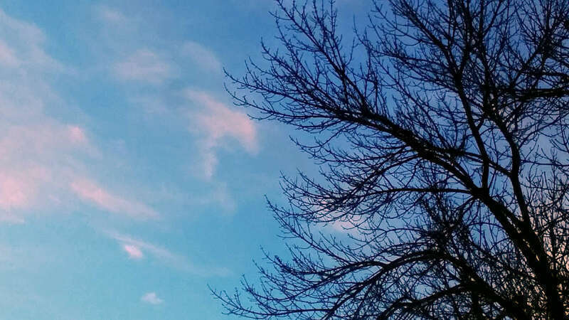 
500px provided description: "Virtualized" version: 500px.com/photo/210705587/crepuscular-abstract-1-virtualized-by-aslam-karachiwala. [#trees ,#sky ,#blue ,#clouds ,#abstract ,#branches ,#minimalism ,#crepuscular]