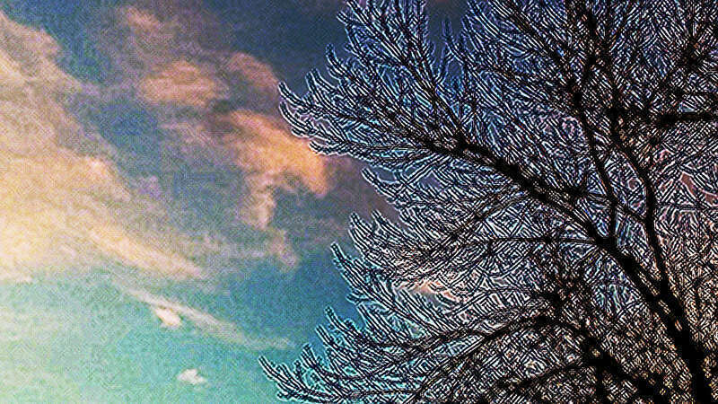 
500px provided description: "Virtualized" version of Crepuscular Abstract 1: 500px.com/photo/210705449/crepuscular-abstract-1-by-aslam-karachiwala. [#trees ,#sky ,#clouds ,#abstract ,#branches ,#crepuscular]
