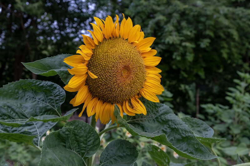 DSCF3048-48