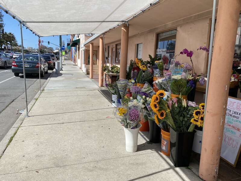 Downtown Alum Rock