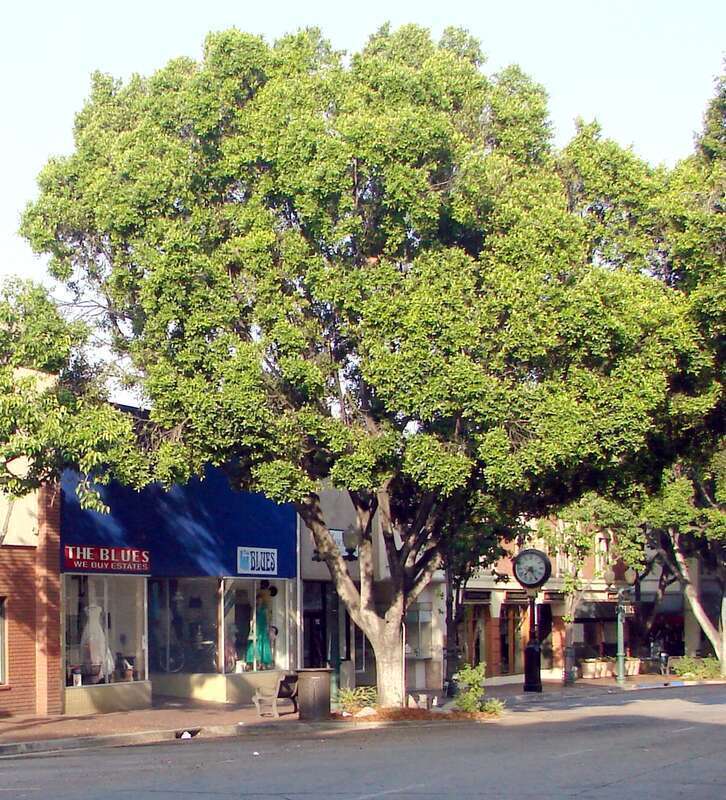 (1 in a multiple picture set)
South side of State St. midway between 5th and 6th St. in Downtown Redlands, CA.