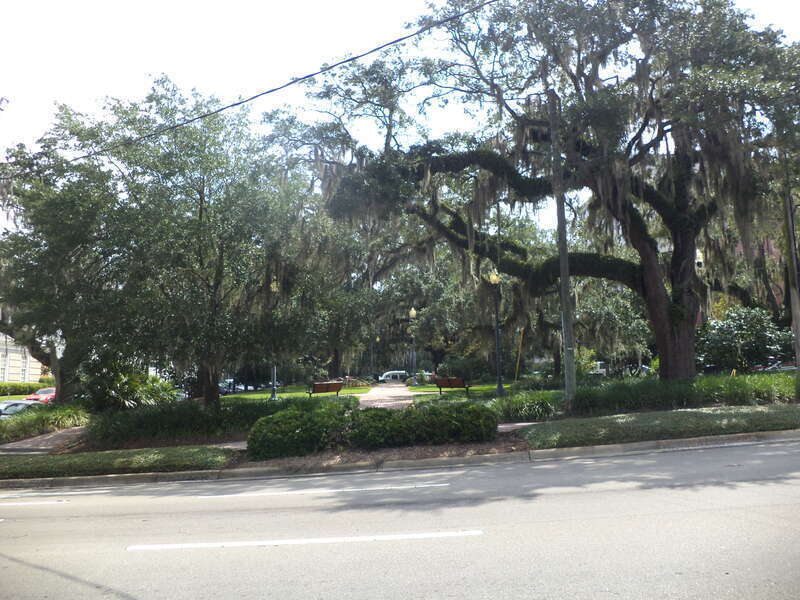 E Peck Greene Park N Duval St looking East, Tallahassee, Leon County, Florida