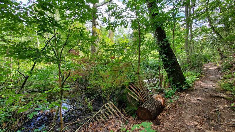 Edgewood Park, New Haven