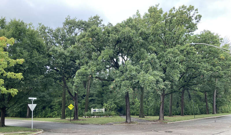 Emily Oaks Nature Center, Skokie, IL