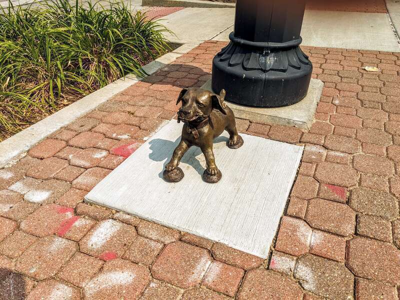 In 2023, a series of bronze sculptures were installed in various locations around Springfield, Illinois depicting Abraham Lincoln's dog, Fido. "Fido With Flower" was designed by Sam Brown and is installed on the west side of Bicentennial Plaza, just