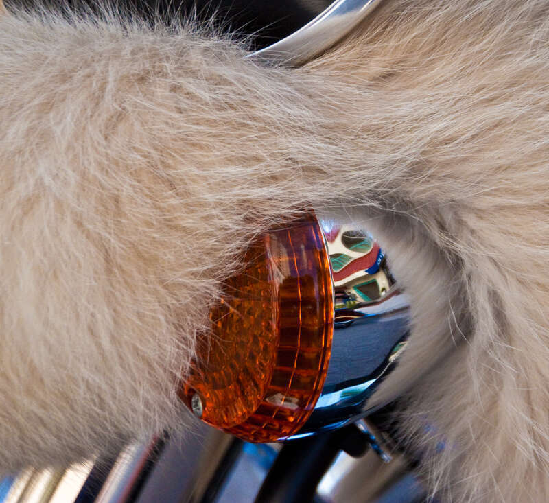 fur