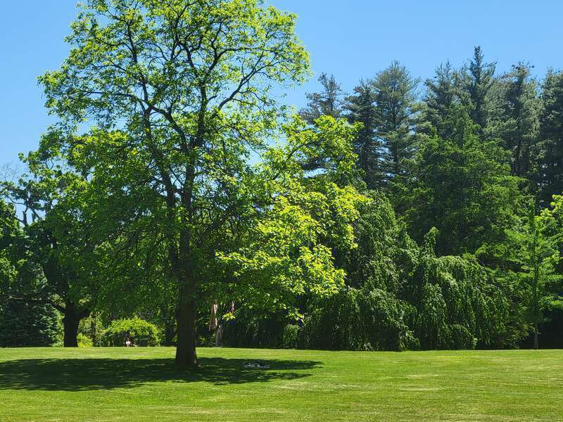 Greeley Park