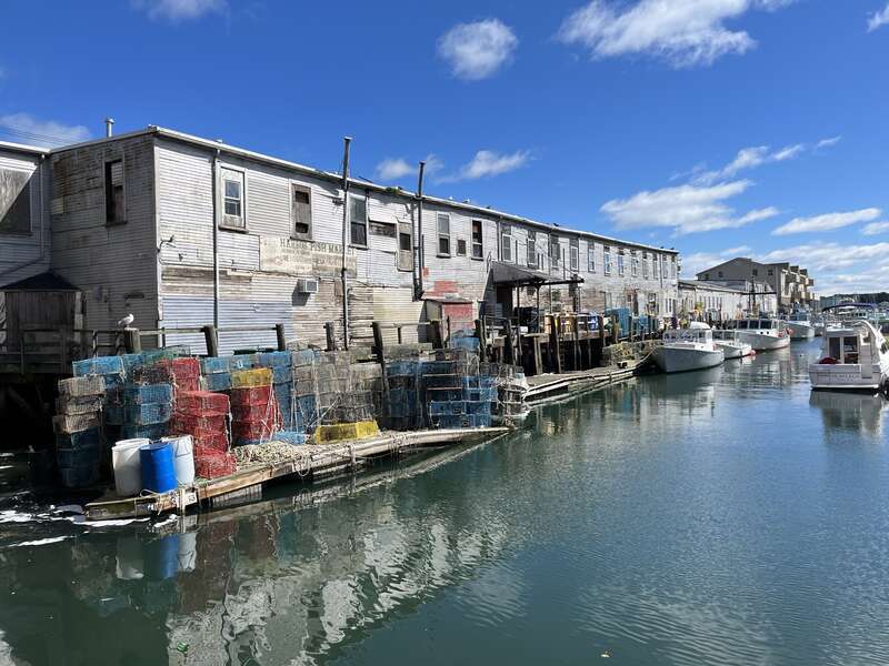 Harbor Fish rear