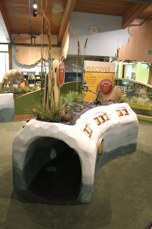 Holliday Park Nature Center. Exhibits designed and built by Taylor Studios, Inc. 
Indianapolis, IN
Overview of exhibit gallery with large photographic murals, crawl-through exhibit base, nature theming and water table.

www.taylorstudios.com