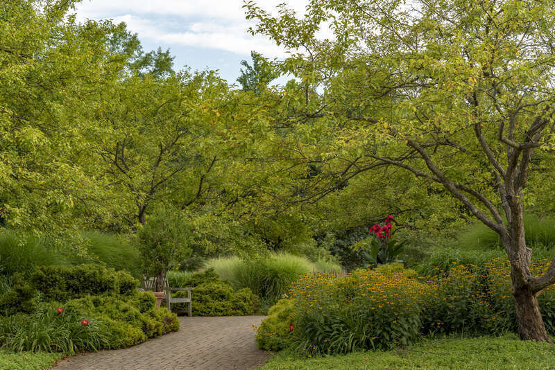 One of the places to gather in an area designated The Patio in Innis Woods Metro Park.