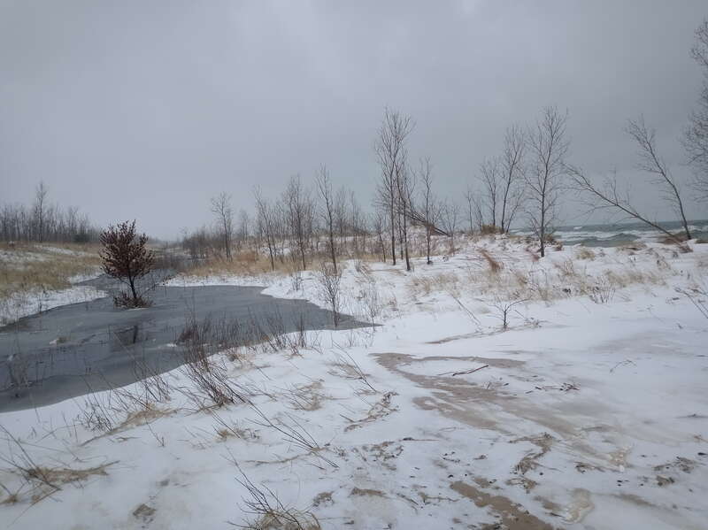 Interdunal pond behind foredunes at Lake Street Beach in Gary Indiana.