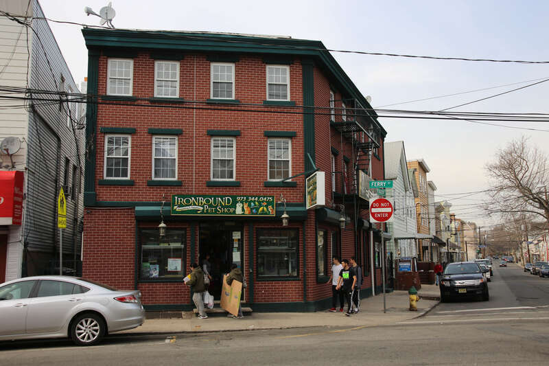 Ironbound Pet Shop