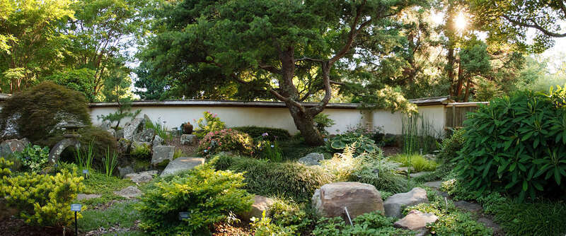 Japanese Garden