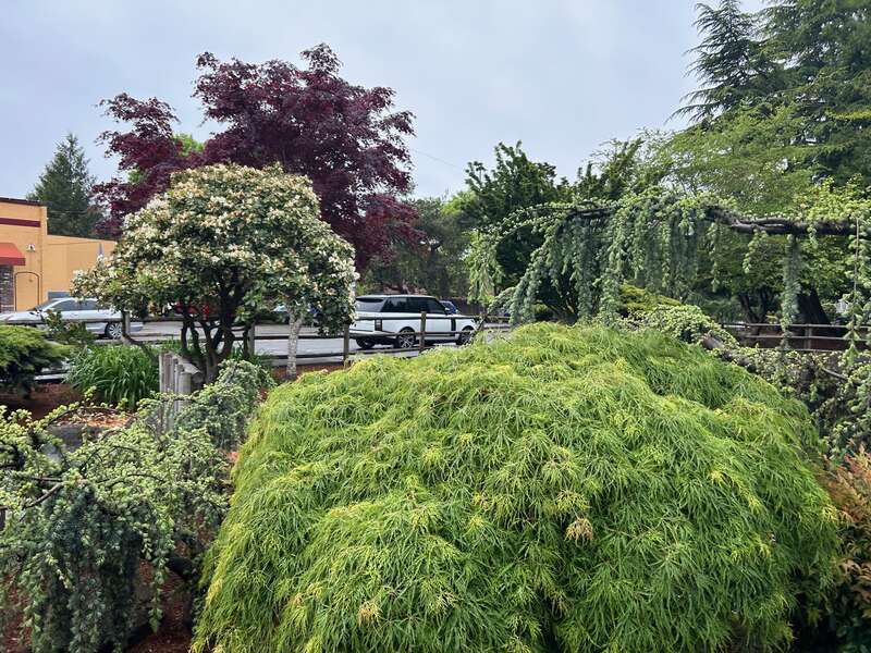 Kaibara Park in Kent, Washington
