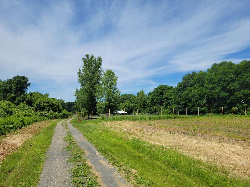 Land of Providence, Holyoke Massachusetts