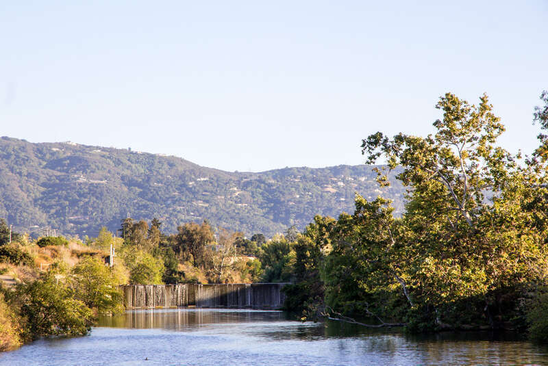 Los Gatos Creek