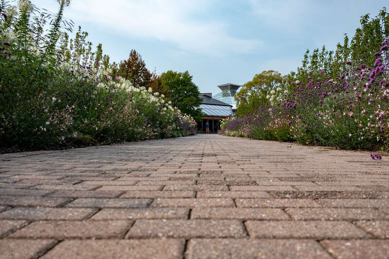 low angle garden path
