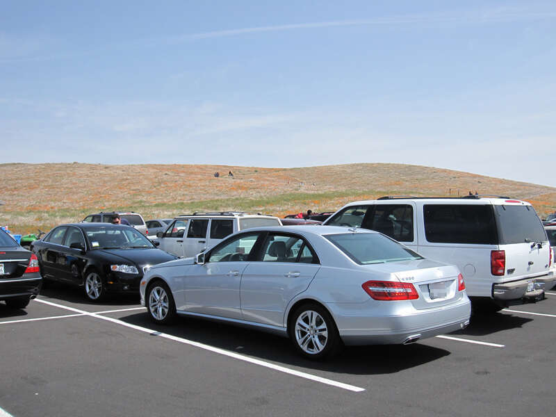 Visiting the California Poppy Preserve an hour north of Los Angeles, on a cool spring day.
The poppy bloom for the year 2010 was a dud (2011 was a dud as well), but it is a rare excuse to take out the Mercedes-Benz for a spin, five months after