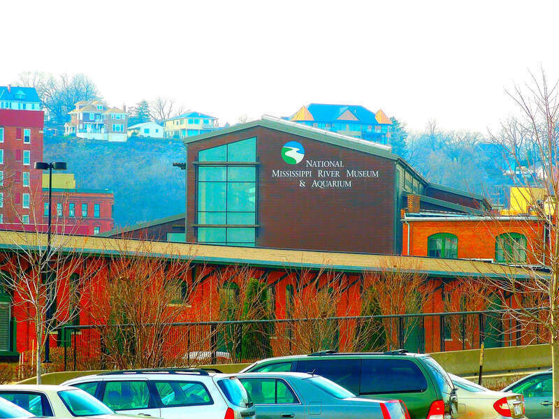 National Mississippi River Museum &amp; Aquarium l