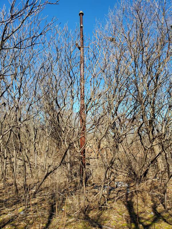 A single trolley wire pole remaining in the former Gladstone Loop in March 2022