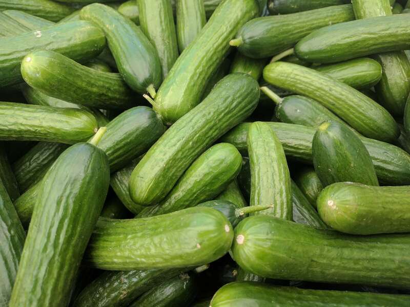 A box of cucumbers labeled as "Mini Persian cucumbers" at a farmer's market in Campbell, California.
