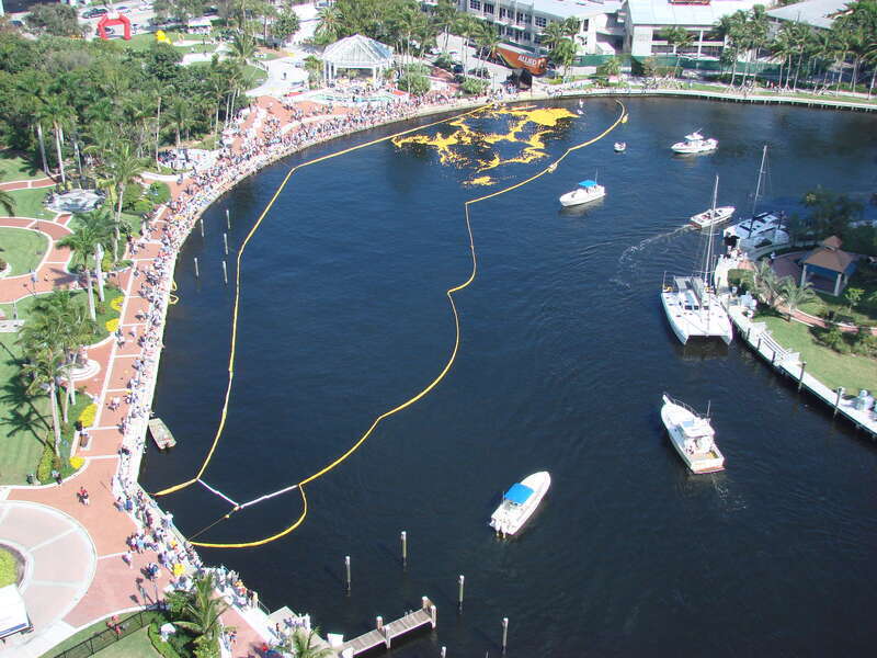Plastic duck race
