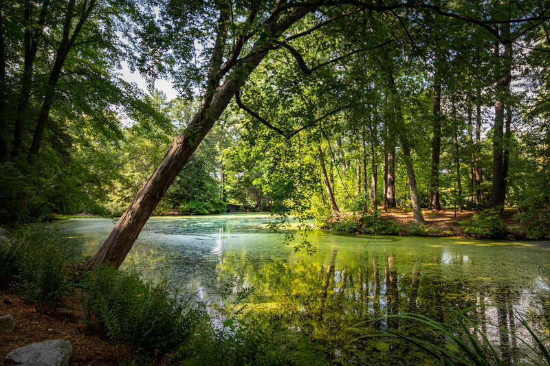 quiet pool