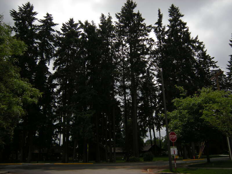 Anderson Park (formerly Redmond City Park), 7802 168th Ave NE, Redmond, Washington. The park is listed on the National Register of Historic Places.