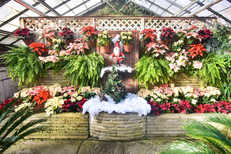 Rockefeller Park Greenhouse