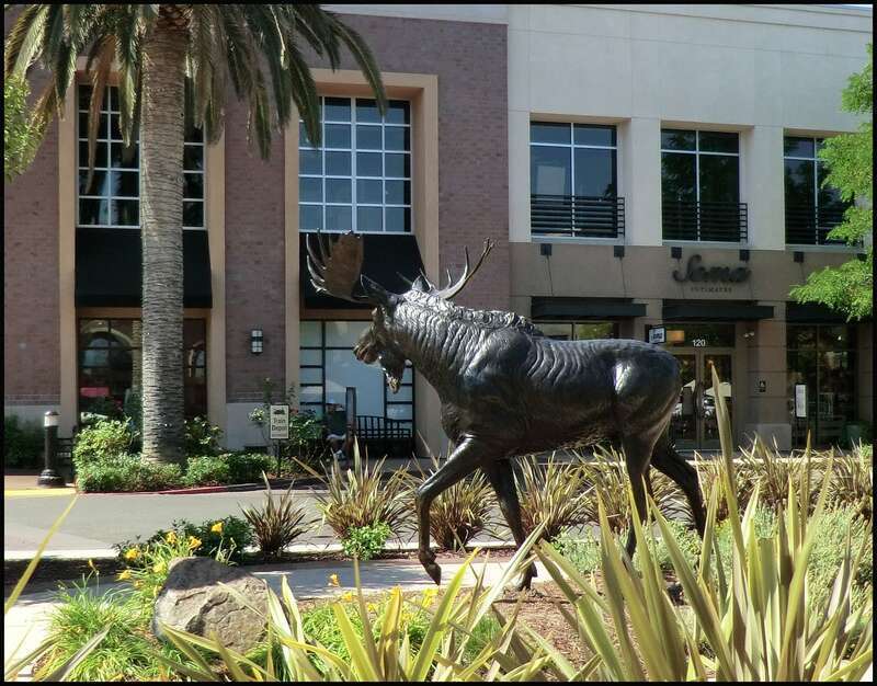 Roseville, CA 391