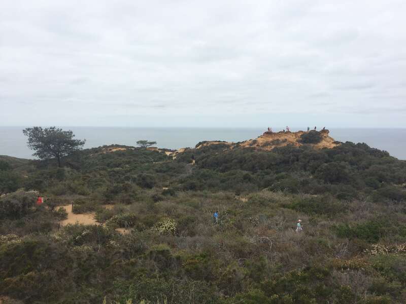 California, USA - May 2016

San Diego