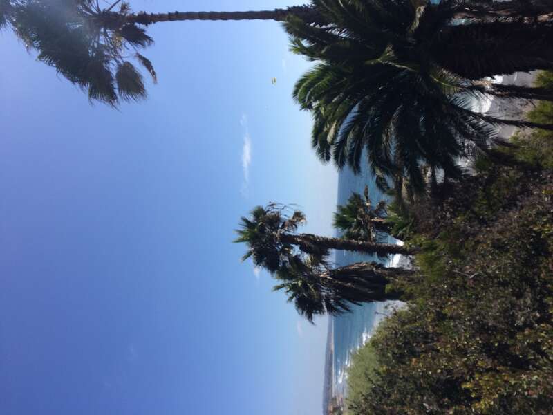 California, USA - September 2016

San Diego in September 2016