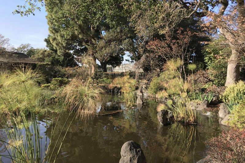 San Mateo Japanese Garden, San Mateo, California, US