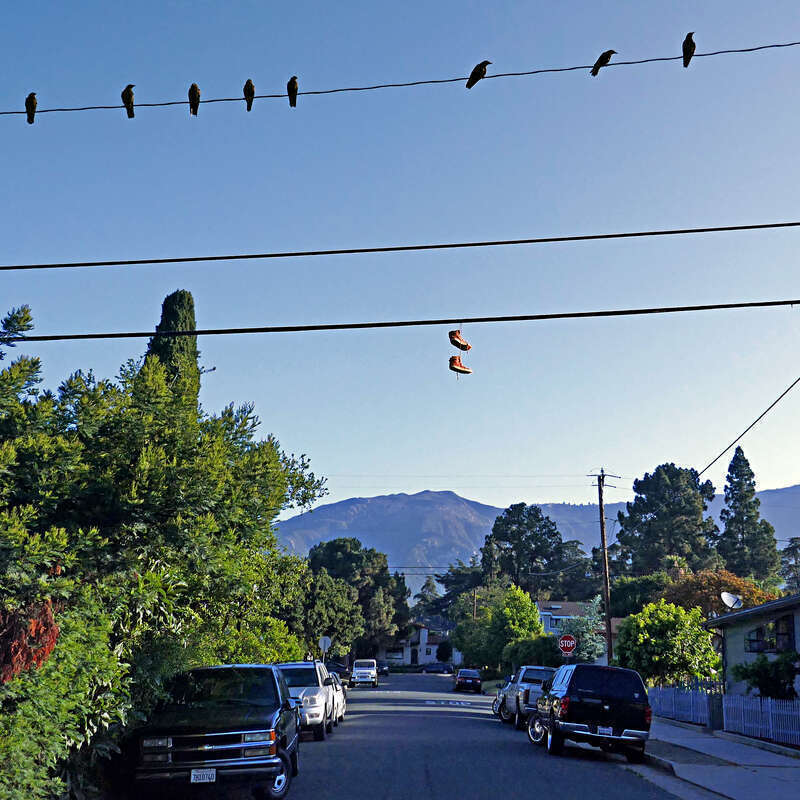 Of Birds and Shoes