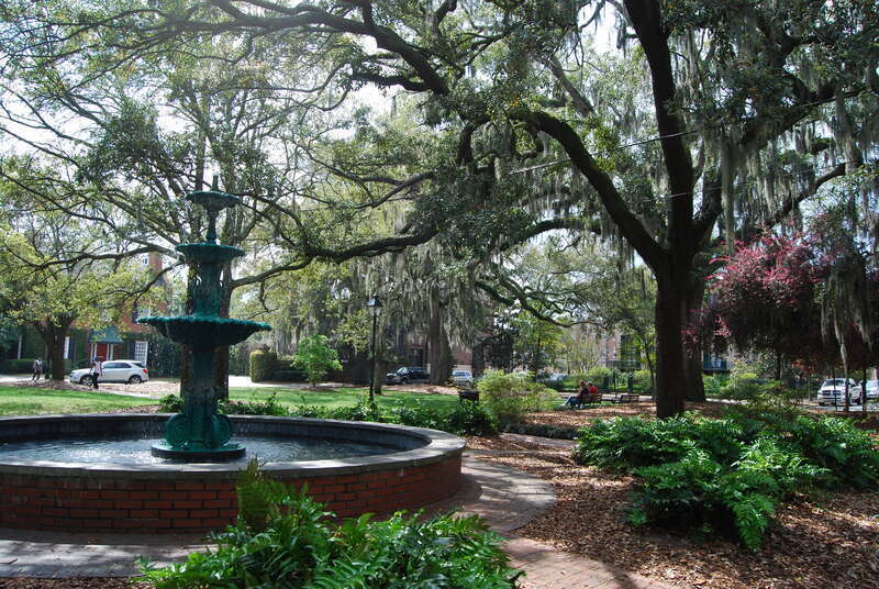Savannah