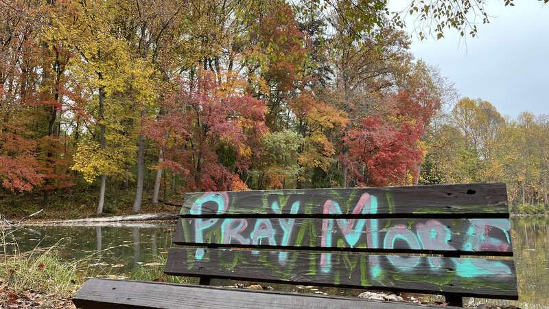 Fall foliage in Seneca Creek State Park