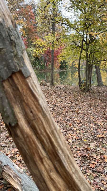 Fall foliage in Seneca Creek State Park