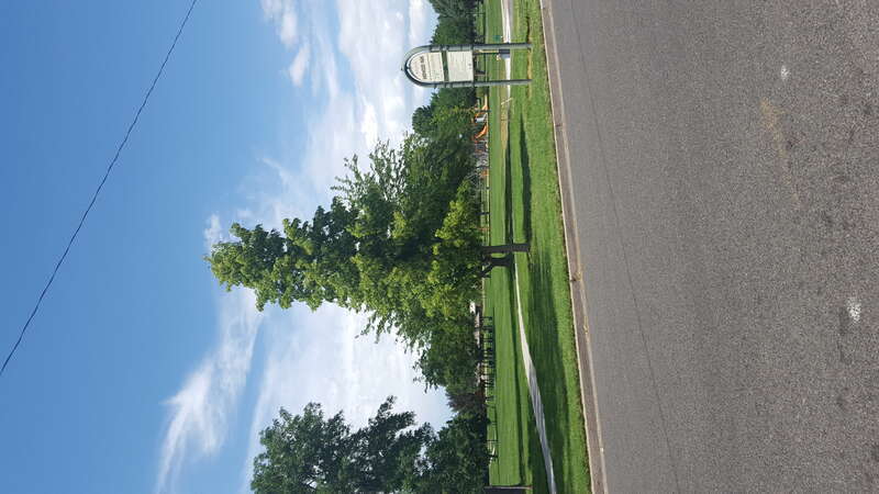 park