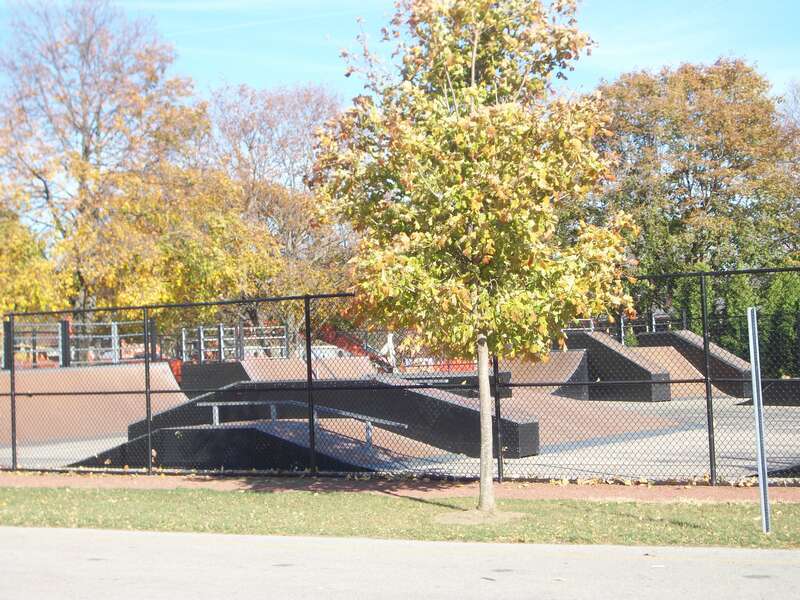 Skate ark