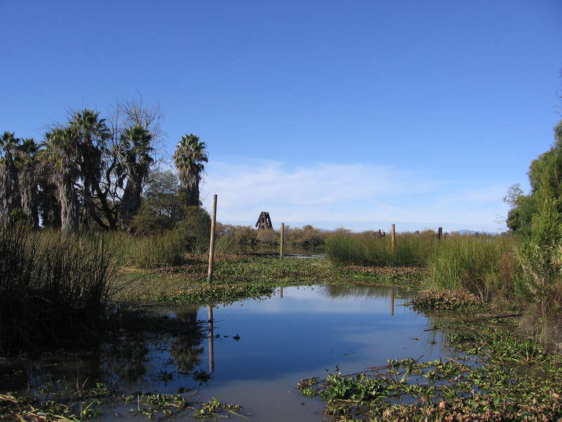 The remains of the Solano (ferry) in the San Joaquin River in Antioch, California, USA.  The ferry was sunk and turned into an island in the river shortly after the opening of the Benicia-Martinez rail bridge in 1930.
