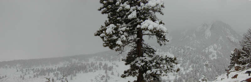 South view from NCAR during snowstorm