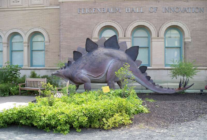 Stegosaurus