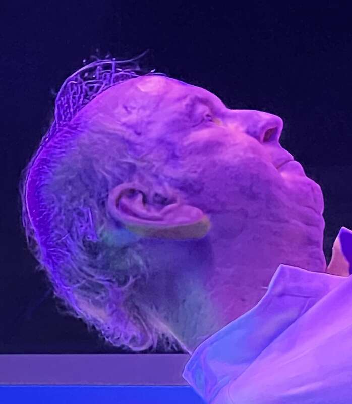 Steve Boone, Live 2024