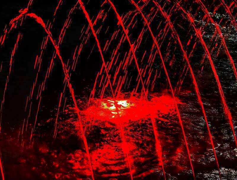 The Crimson Dance