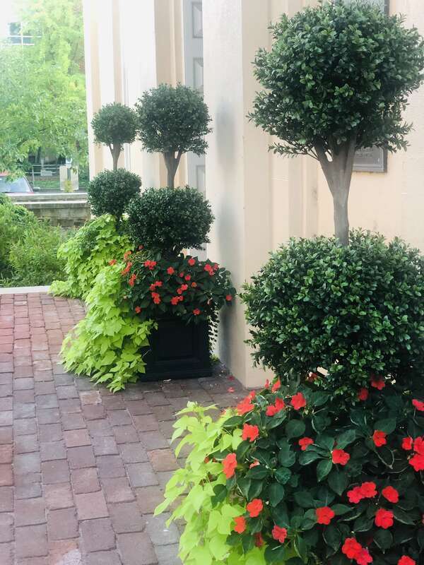 Flower pots filled with two-ball boxwood topiaries, red impatiens and sweet potato vines enhance the entrance to The Lyceum.